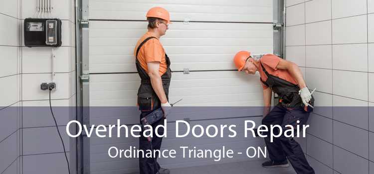 Overhead Doors Repair Ordinance Triangle - ON