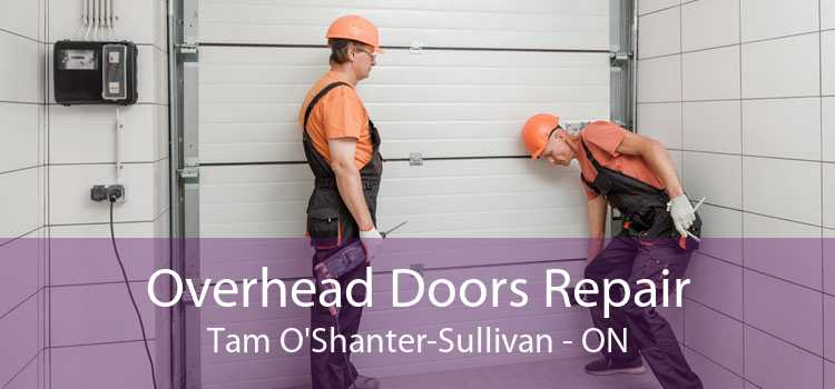 Overhead Doors Repair Tam O'Shanter-Sullivan - ON