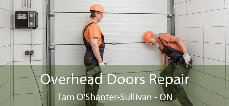  Overhead Doors Repair Tam O'Shanter-Sullivan - ON