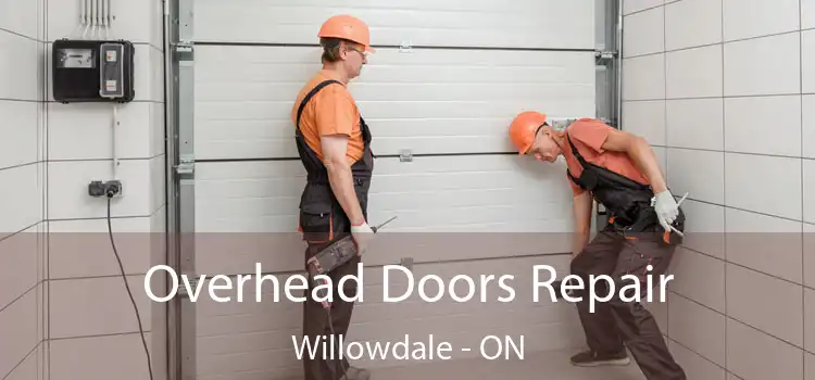  Overhead Doors Repair Willowdale - ON