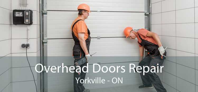 Overhead Doors Repair Yorkville - ON