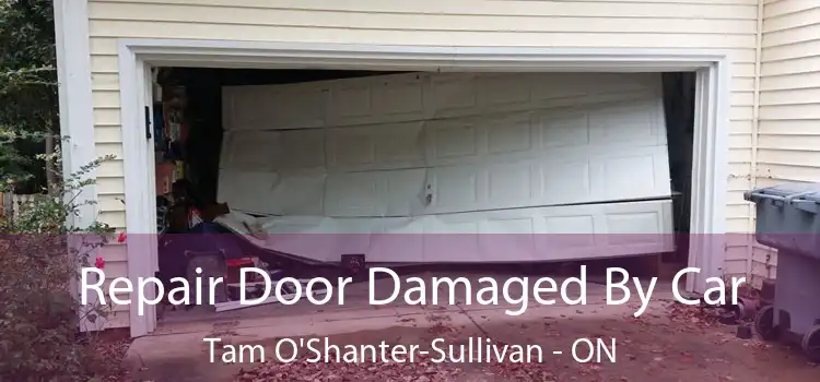  Repair Door Damaged By Car Tam O'Shanter-Sullivan - ON
