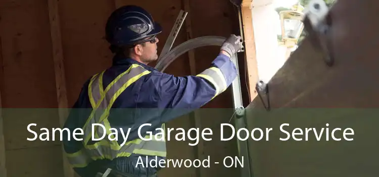 Same Day Garage Door Service Alderwood - ON