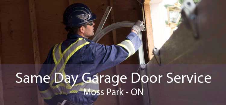 Same Day Garage Door Service Moss Park - ON