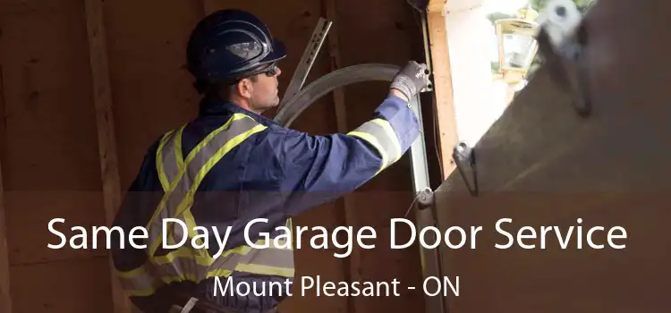  Same Day Garage Door Service Mount Pleasant - ON