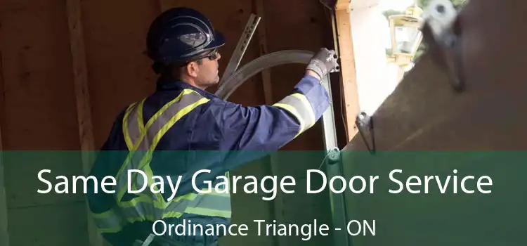  Same Day Garage Door Service Ordinance Triangle - ON