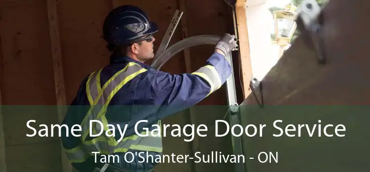  Same Day Garage Door Service Tam O'Shanter-Sullivan - ON